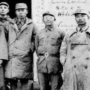 《血脉牵引》启示：生命科技将引领跨越生死的未来趋势